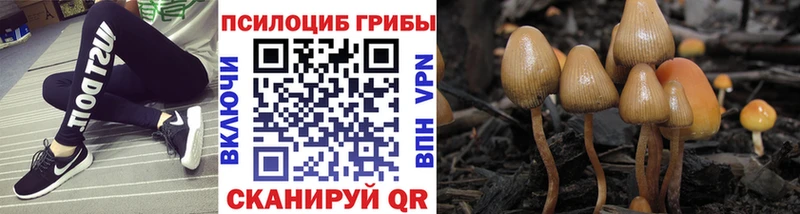Галлюциногенные грибы Psilocybine cubensis Спасск-Дальний